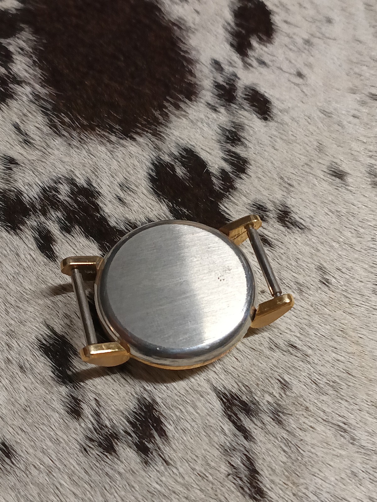 Wristwatch Case