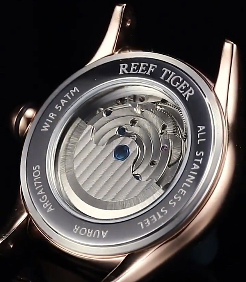 Reef Tiger