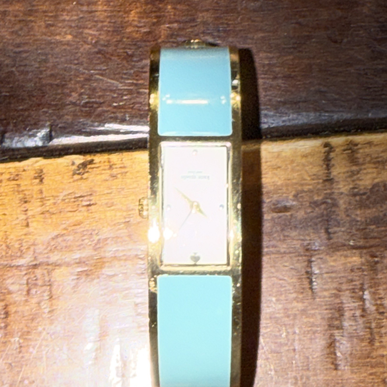 Kate Spade New York Dive In Women’s Blue & Gold Quartz Watch 30m/100ft depth