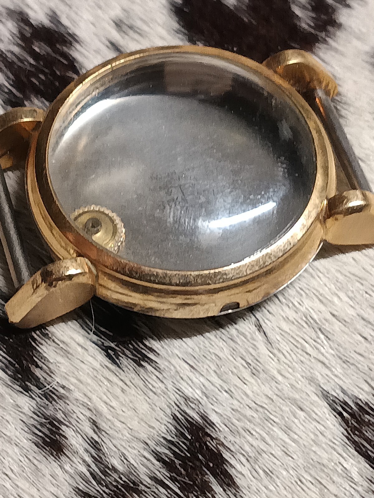 Wristwatch Case