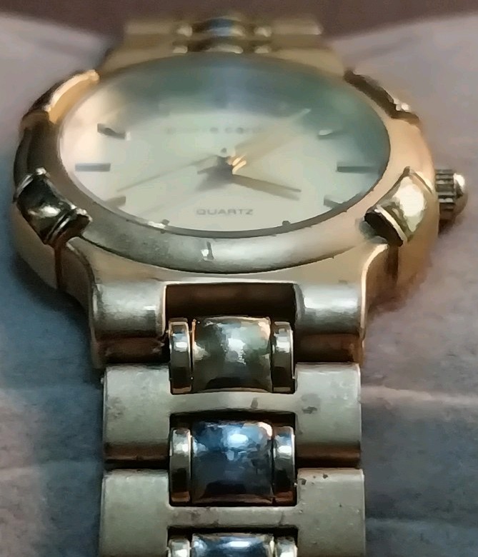 Pierre Cardin Quartz Watch LPC210 Bracelet Band New Battery