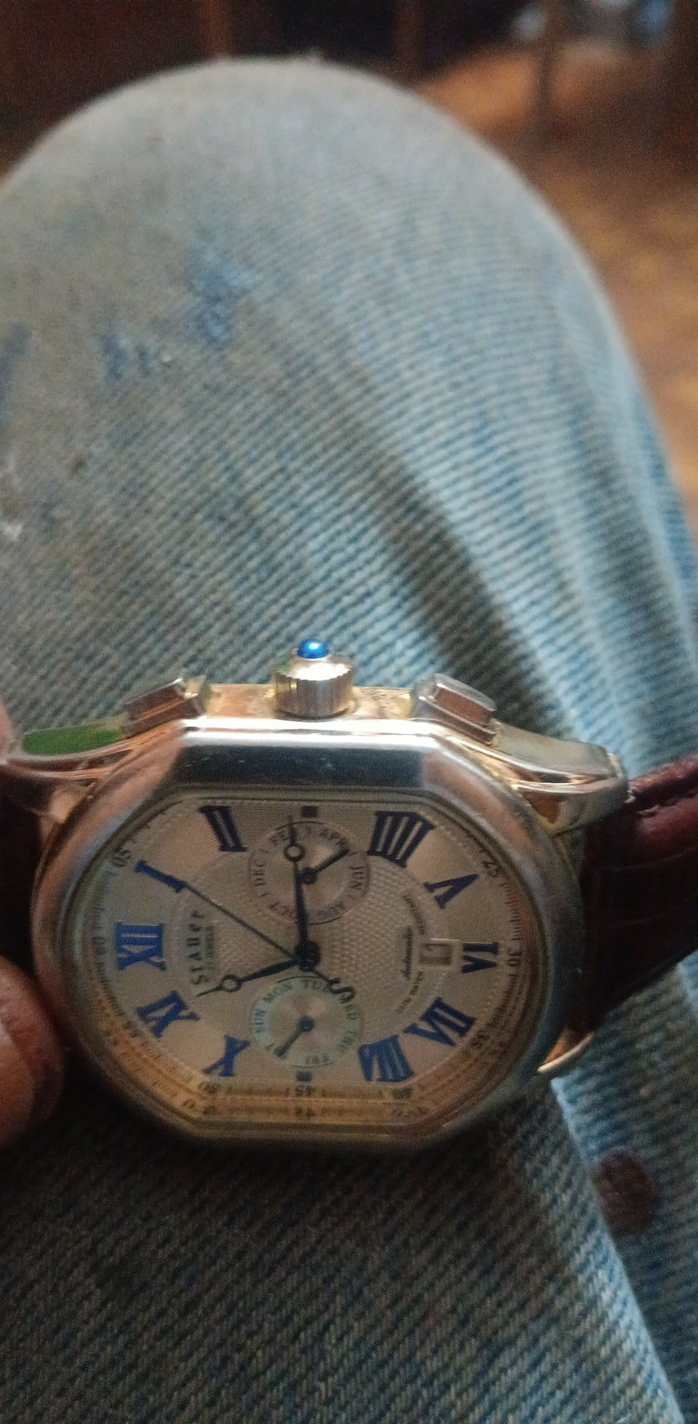 Stauer Watch 20319 Meisterzeit 27 Jewels