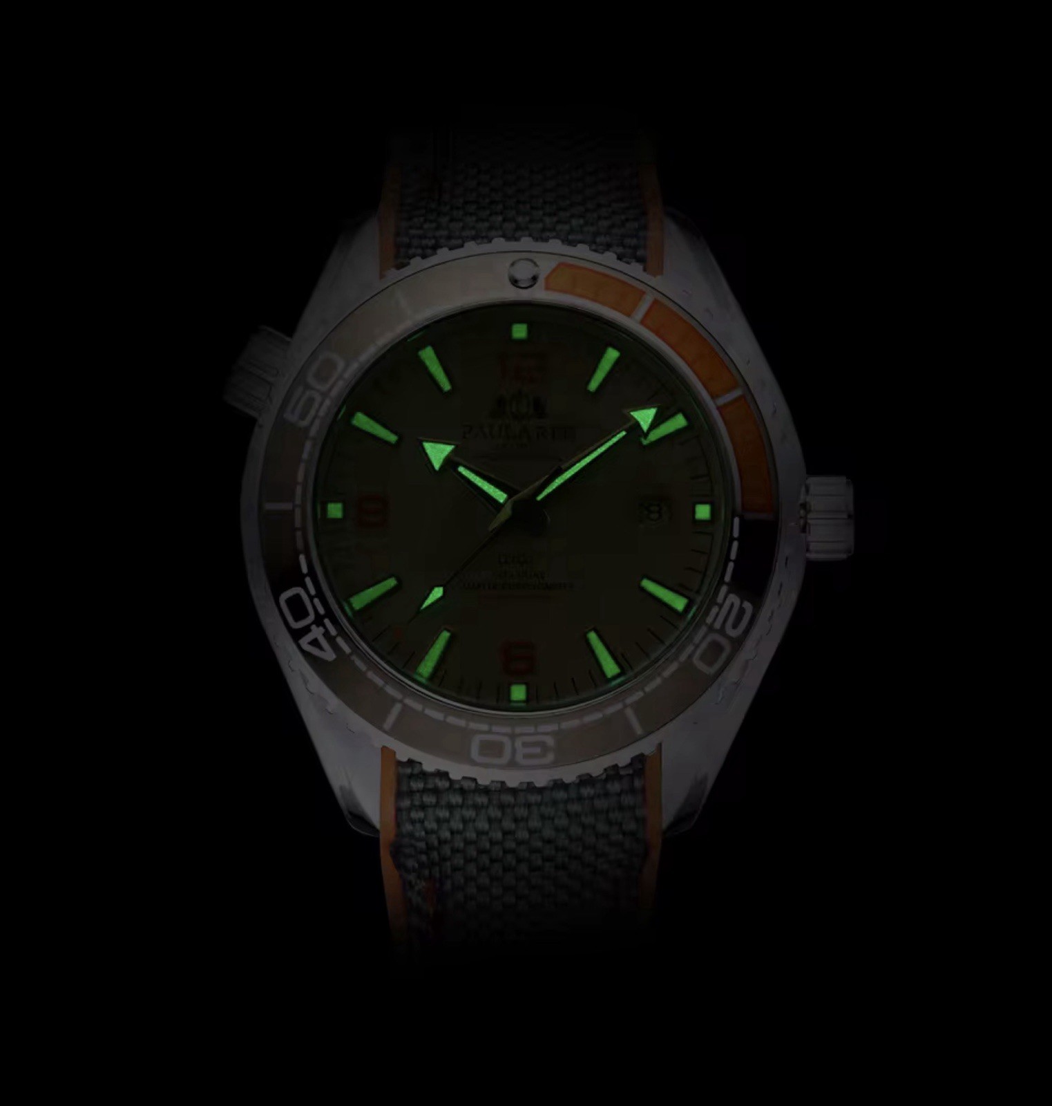 PAULAREIS Casual Waterproof Men’s Watch Luminous Automatic Mechanical Great Gift