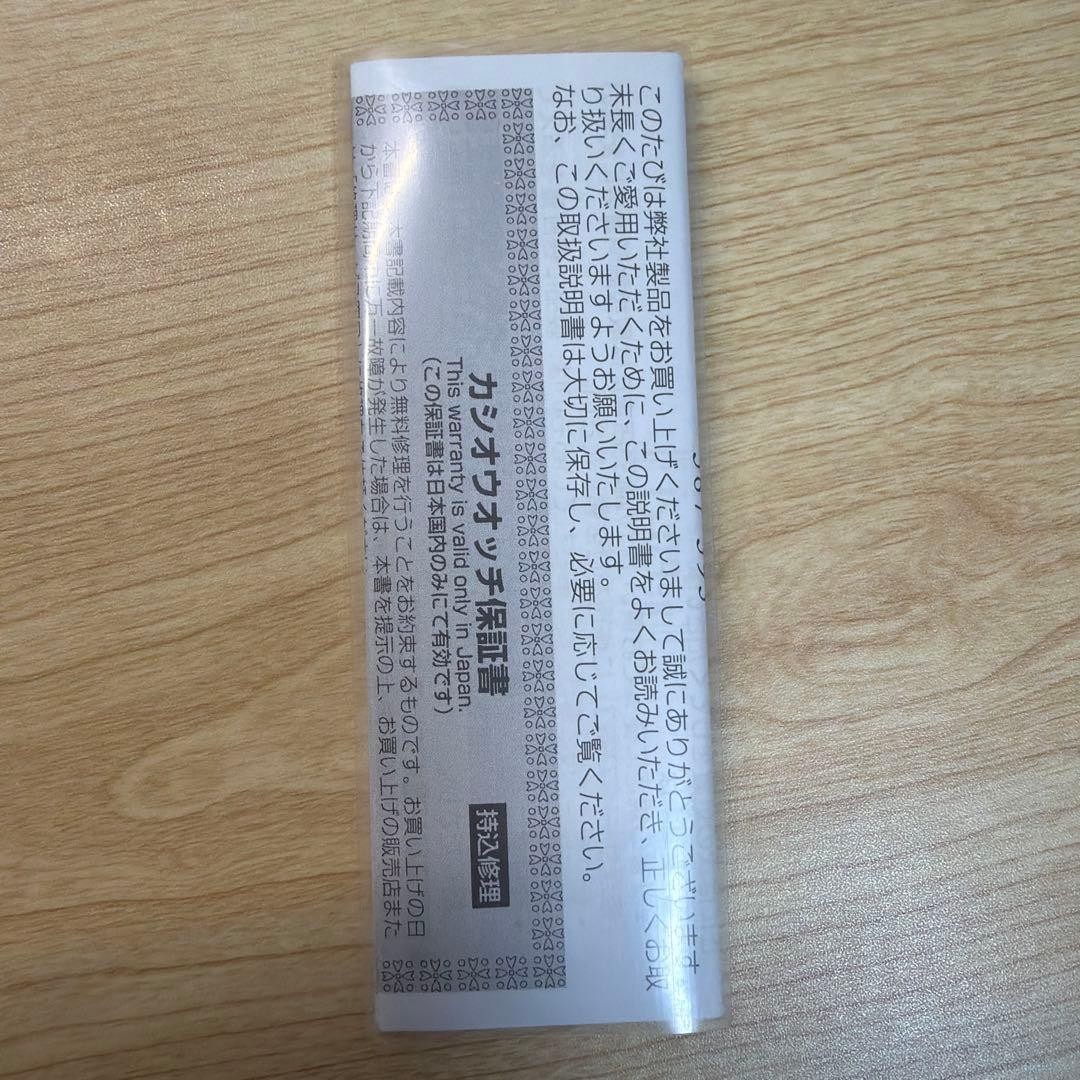CASIO F-91W Digital Watch (Main Unit)