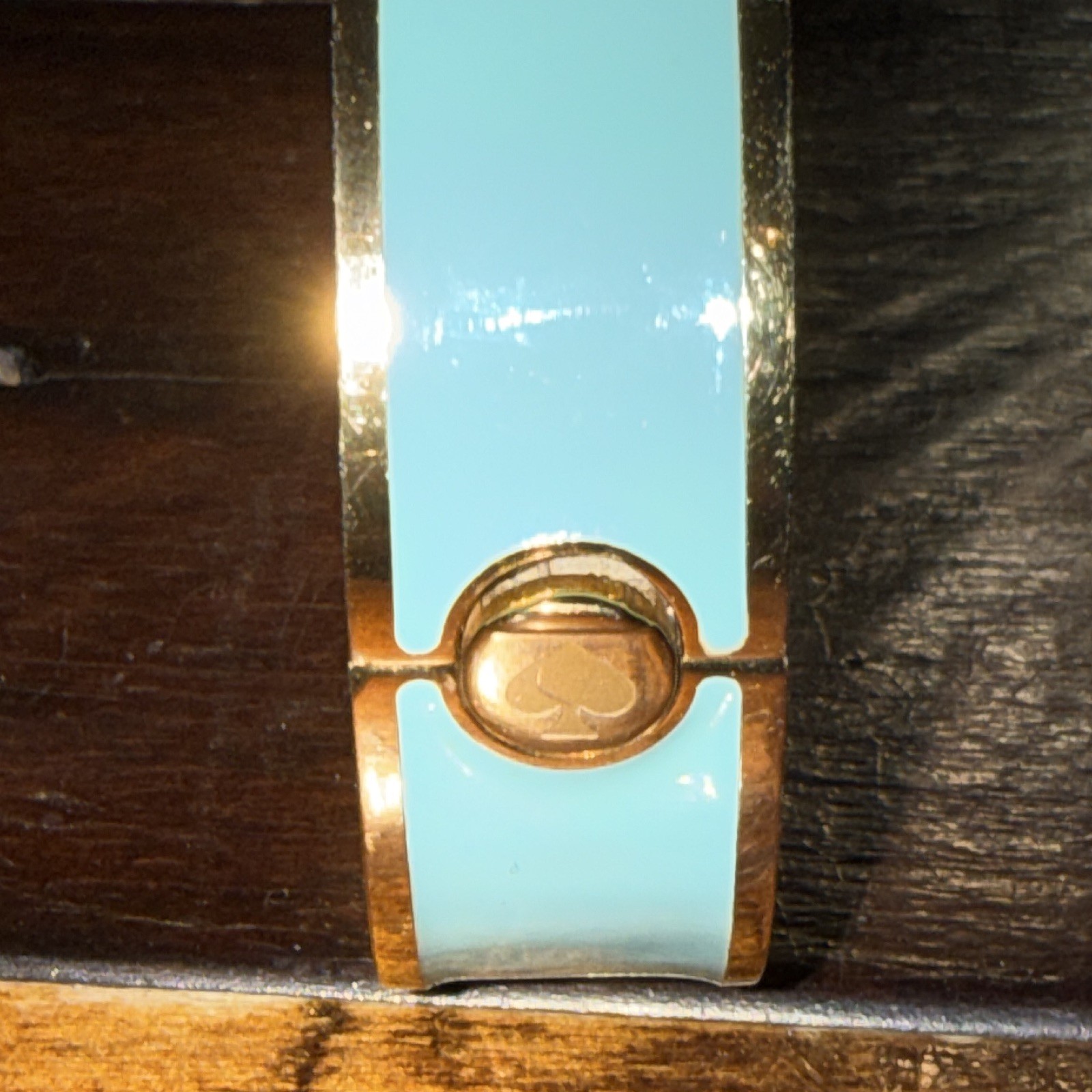 Kate Spade New York Dive In Women’s Blue & Gold Quartz Watch 30m/100ft depth