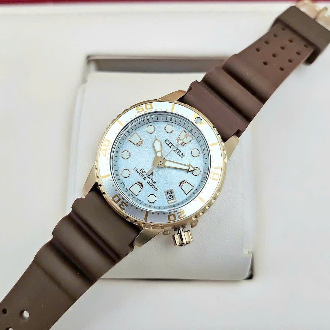 Citizen Eco-Drive Rose Gold Silver Dial EO2022-02A Promaster Diver Women’s Watch