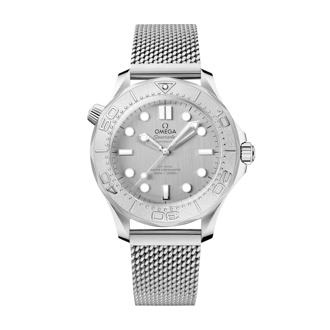 Omega Seamaster Diver 210.30.42.20.06.002 Box Papers New Co-axial silver