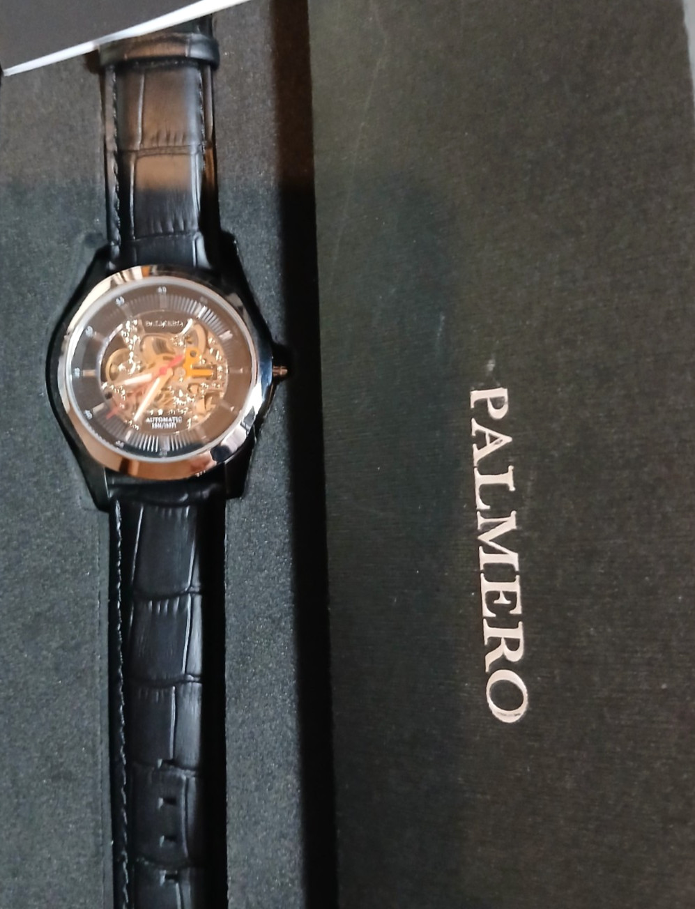 Palmero Caron Skeleton Automatic Watch – Black Dial and Black Strap