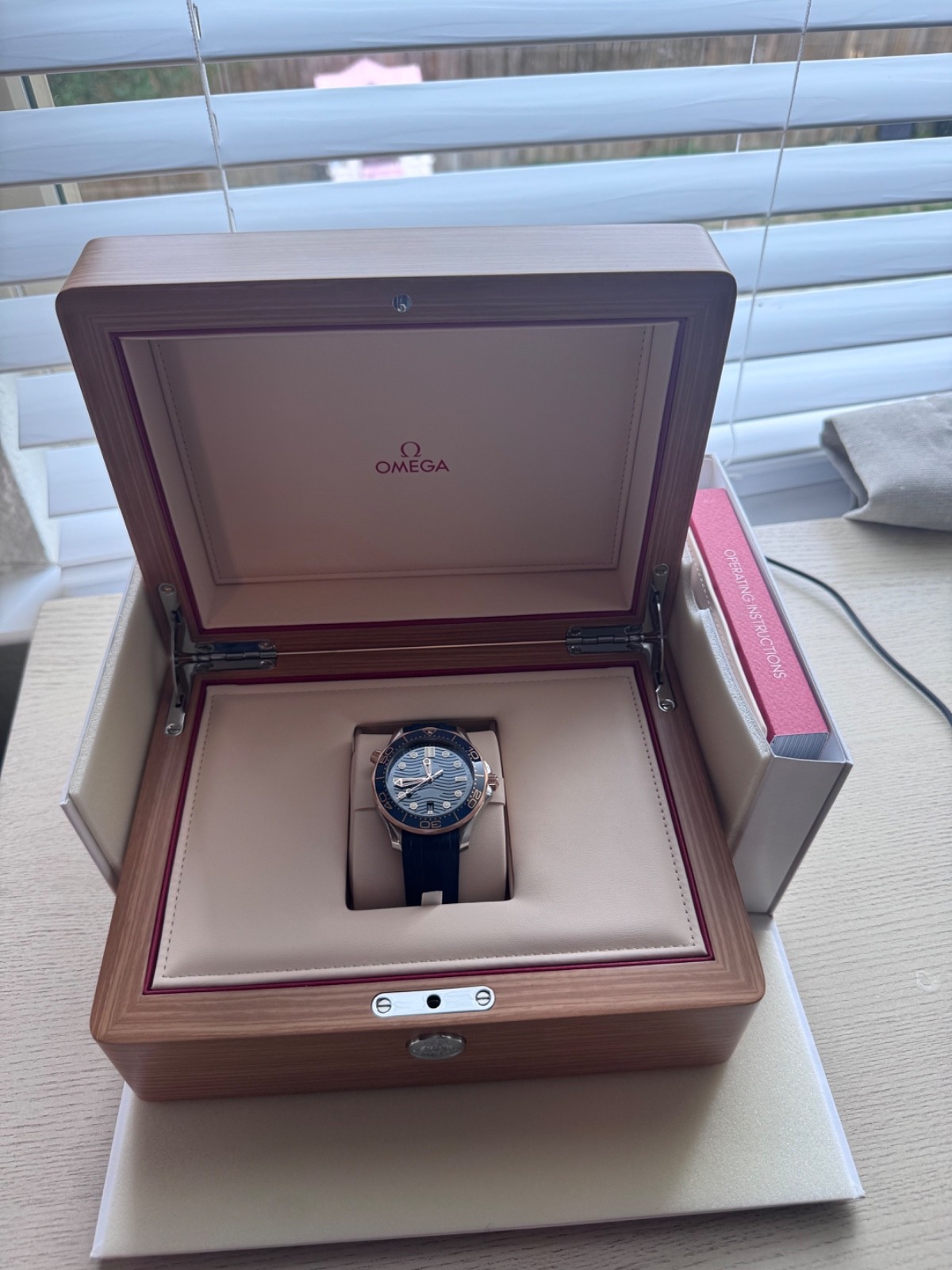 OMEGA Seamaster Diver 300M 210.22.42.20.03.002