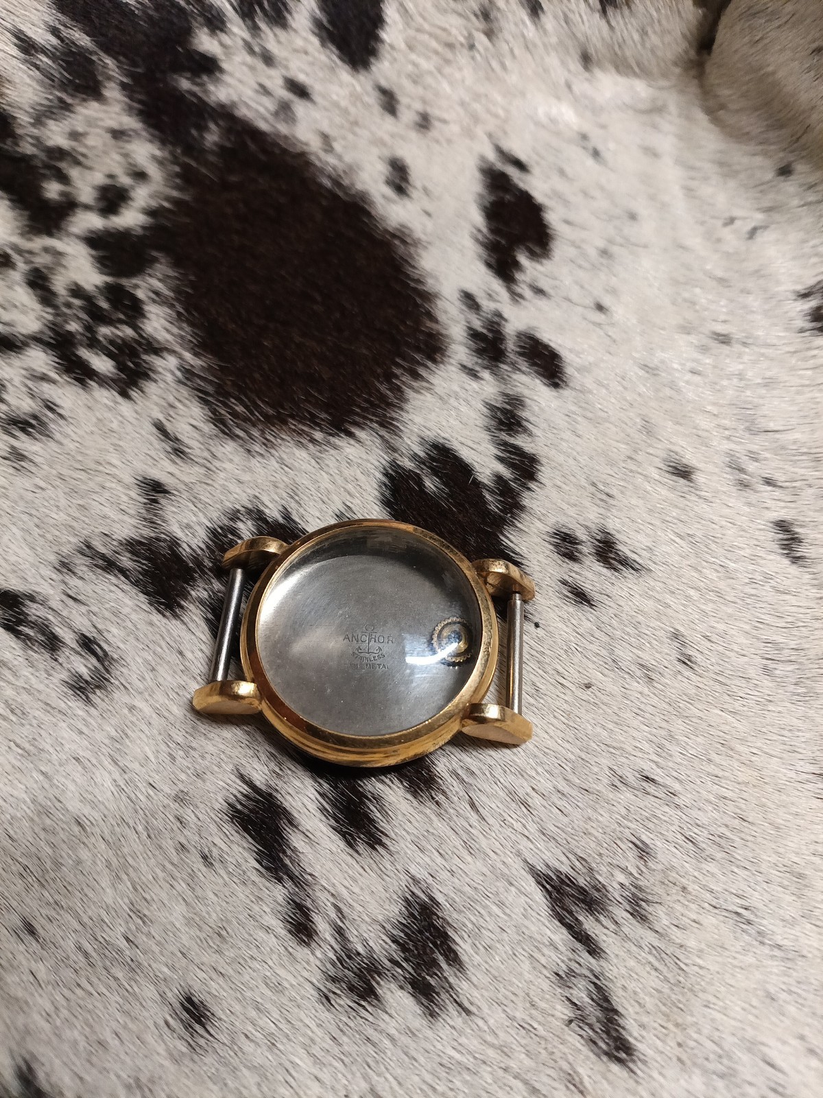 Wristwatch Case