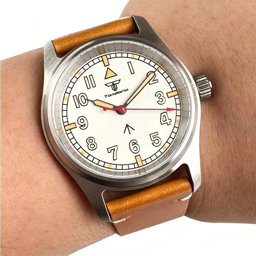 20ATM Tandorio 36mm Sapphire Stainless Steel Lume Diver NH35 PT5000 Men Watch