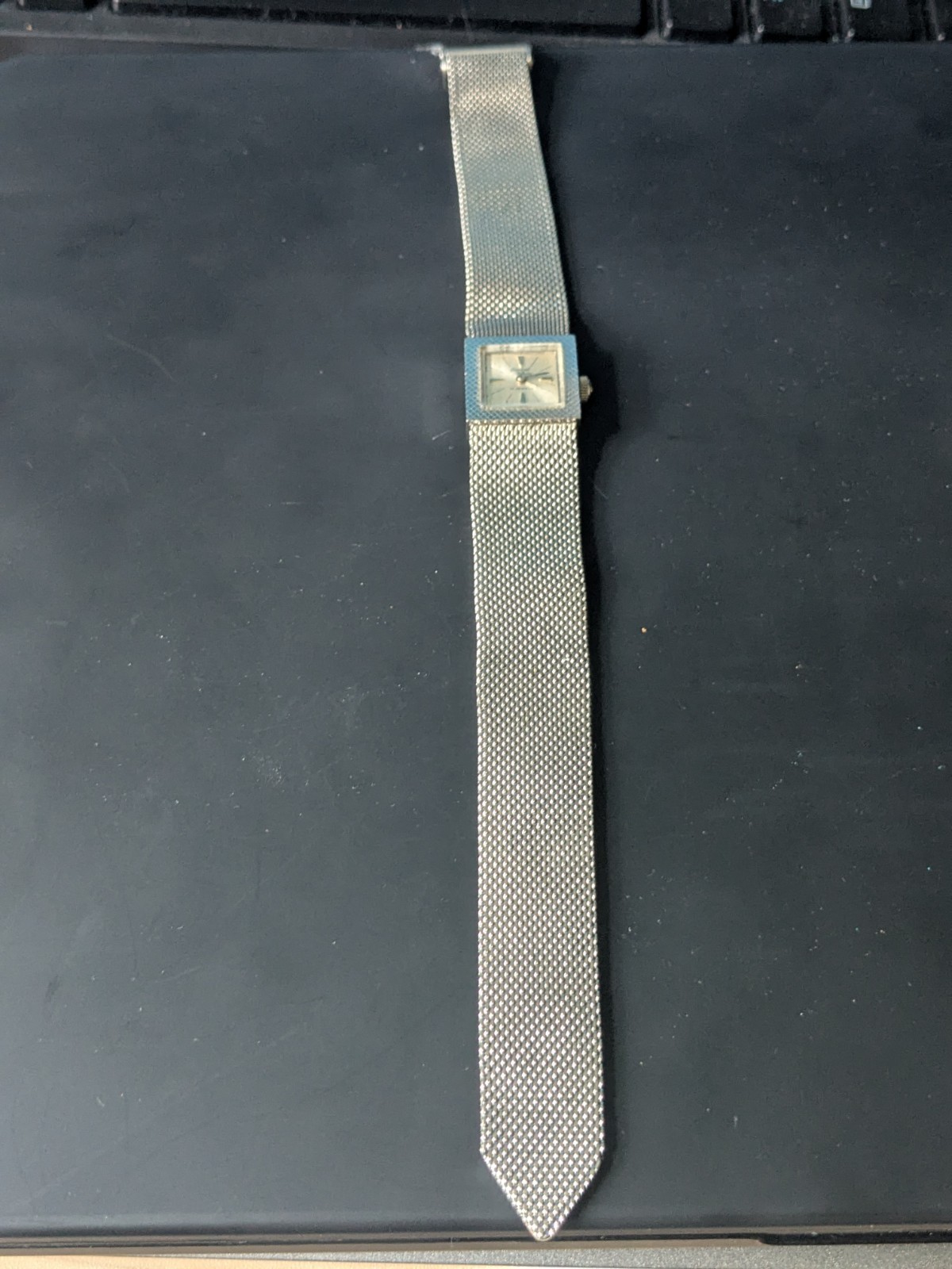 Germinal Voltaire Vintage Ladies 1970’s Watch 17 Jewels Swiss Made Steel 17.5 mm