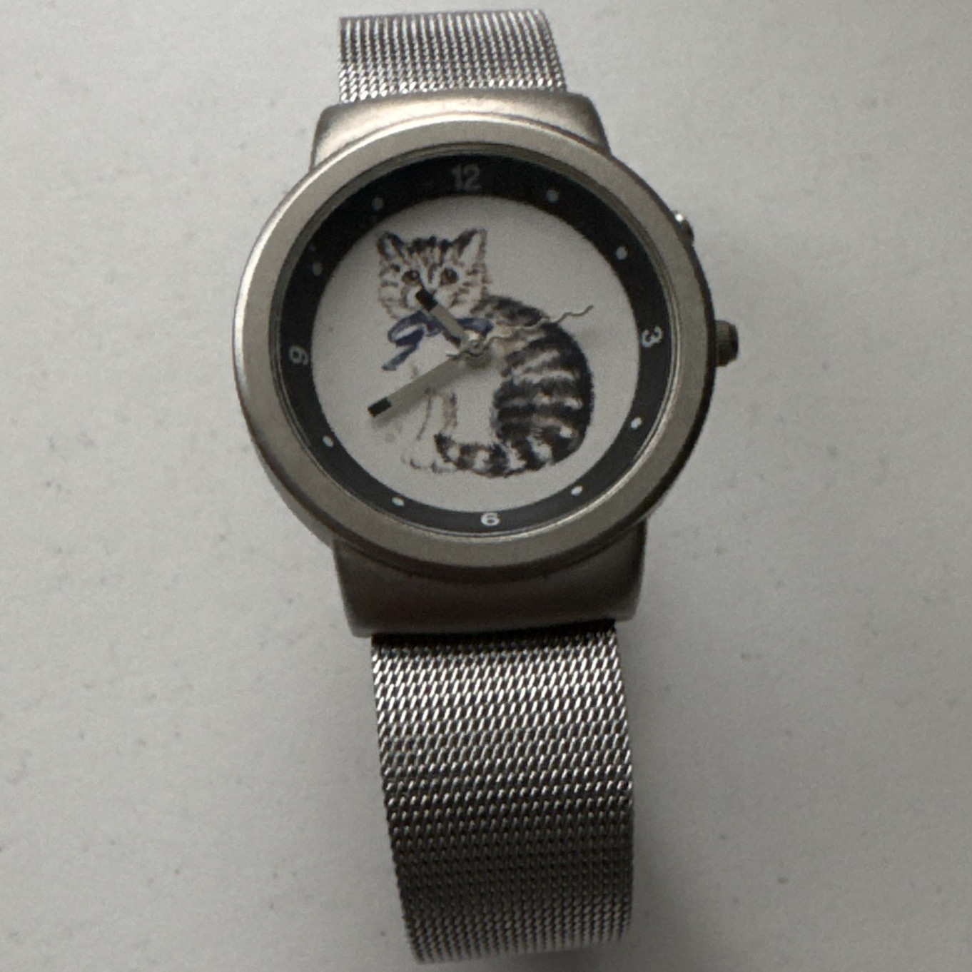 UNTESTED CAT WATCH