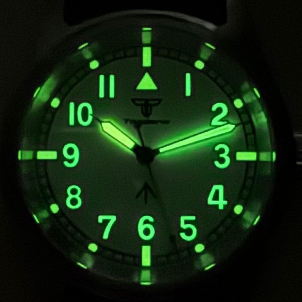 20ATM Tandorio 36mm Sapphire Stainless Steel Lume Diver NH35 PT5000 Men Watch