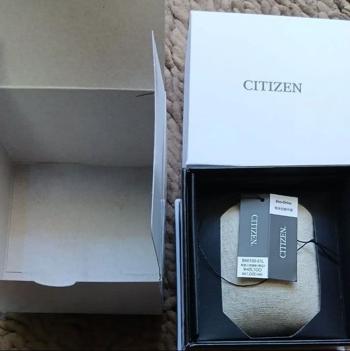 Citizen Promaster BN0196 01L