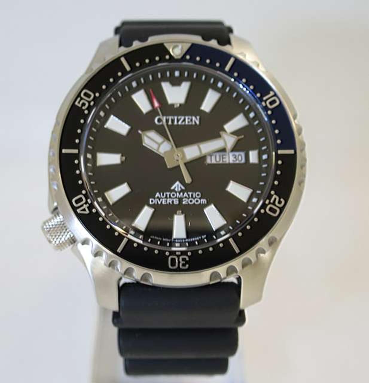 Promaster Diver Puffer Model NY0111 11E8203 R013254 CITIZEN