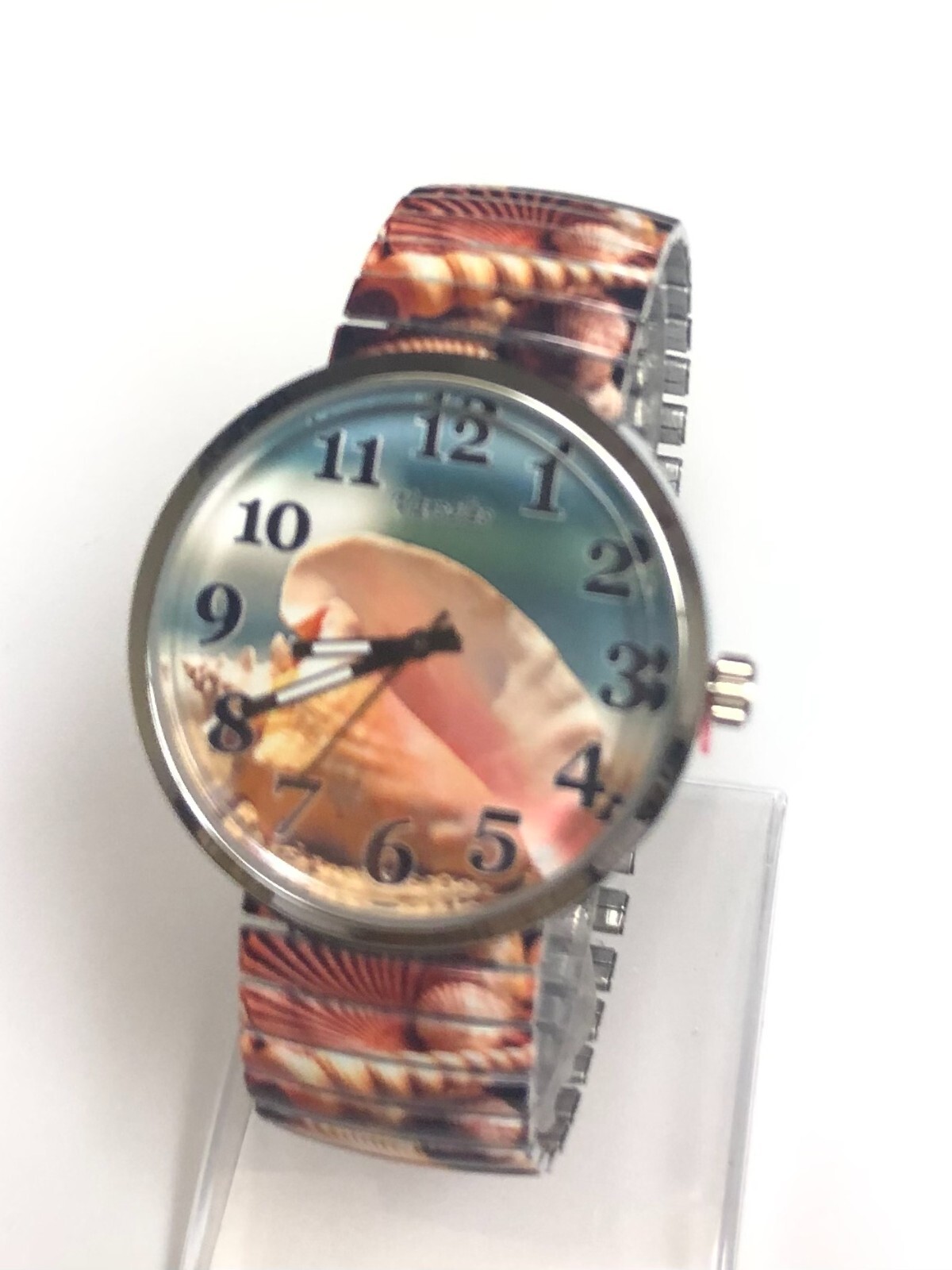 Seashells Stretch Watch