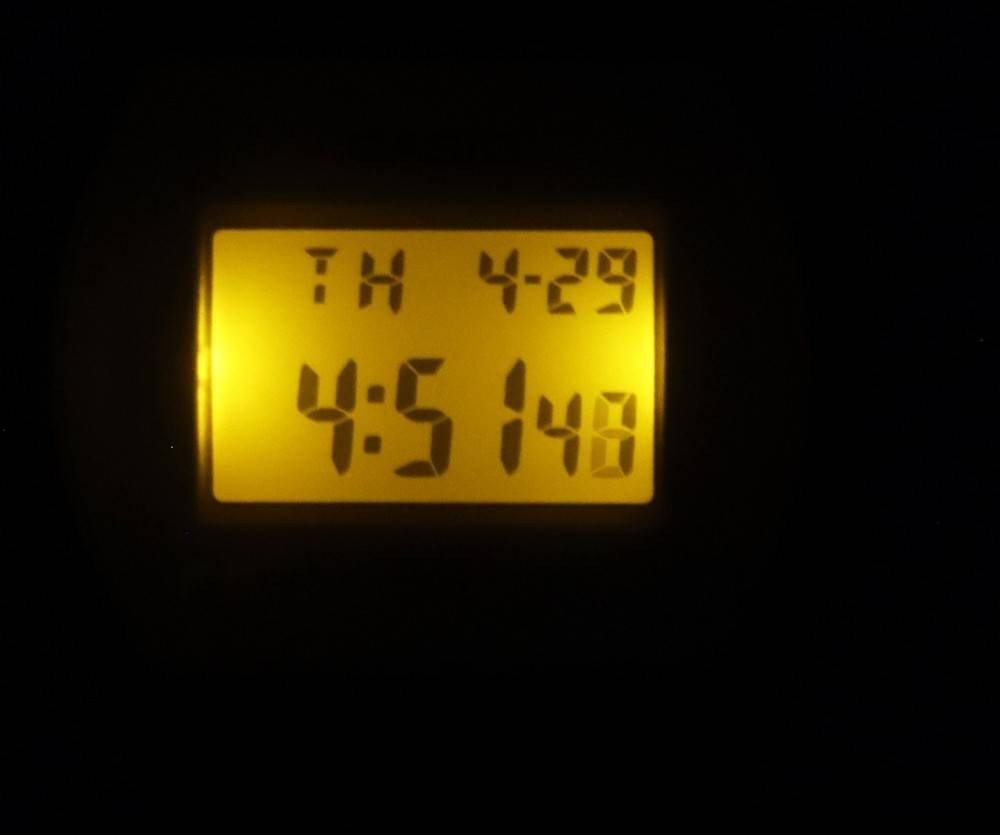 Casio Alarm Backlight Timer Stopwatch Digital LW-204-4A LW-204-4 Ladies Watch