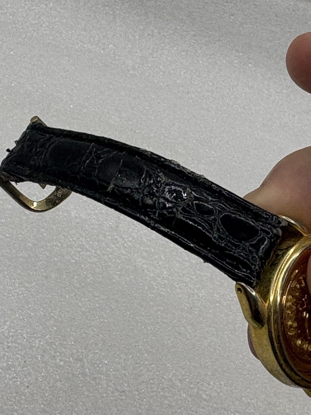 Joan Rivers classics collection Bee watch (Bad Band Not Working) BQ